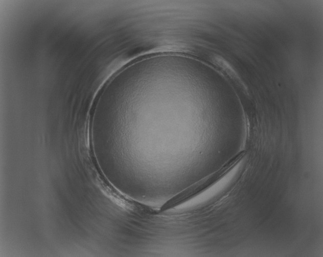 X0000051881276200506241404