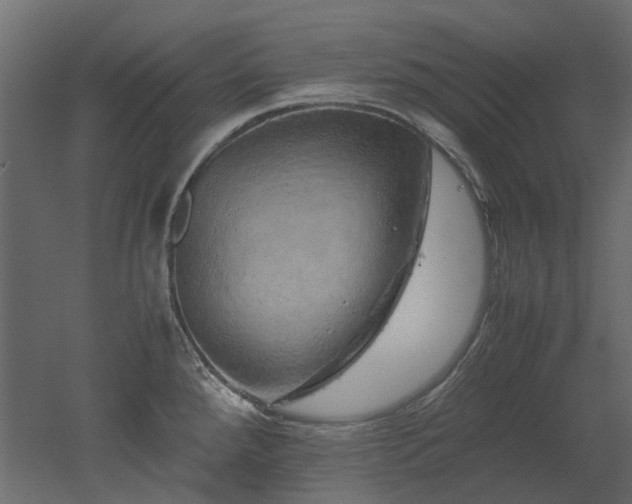 X0000051881288200506241404