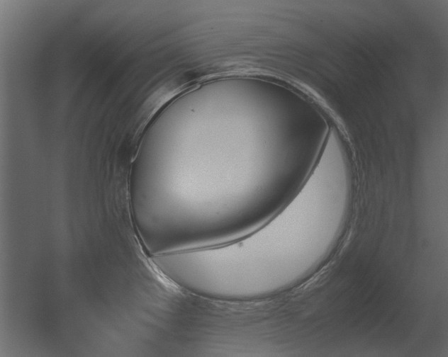 X0000051881289200506241404