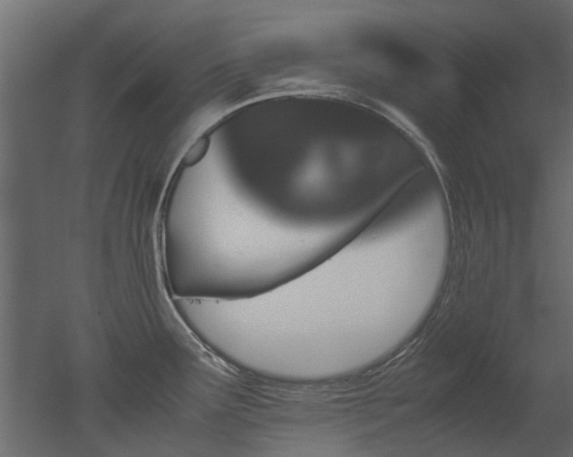 X0000051881291200506241403