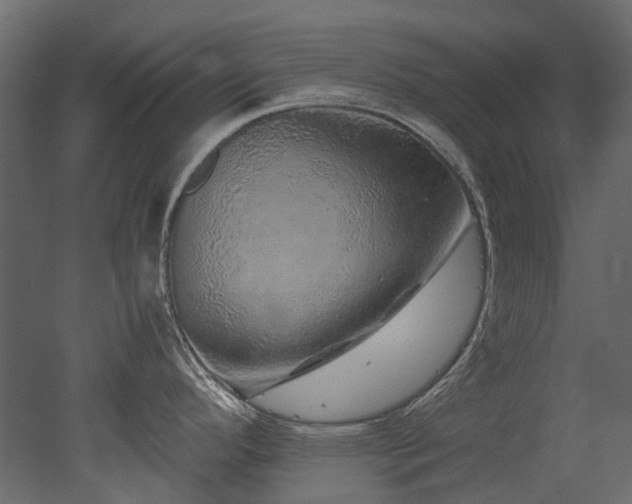 X0000051881296200506241403
