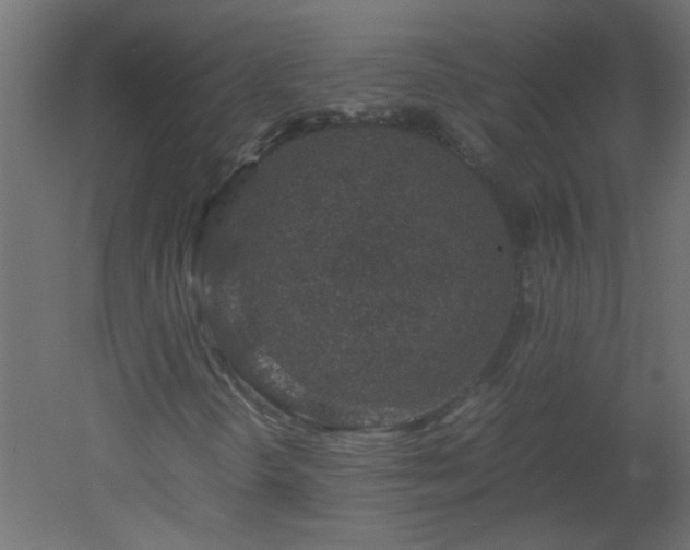 X0000051881298200506241403