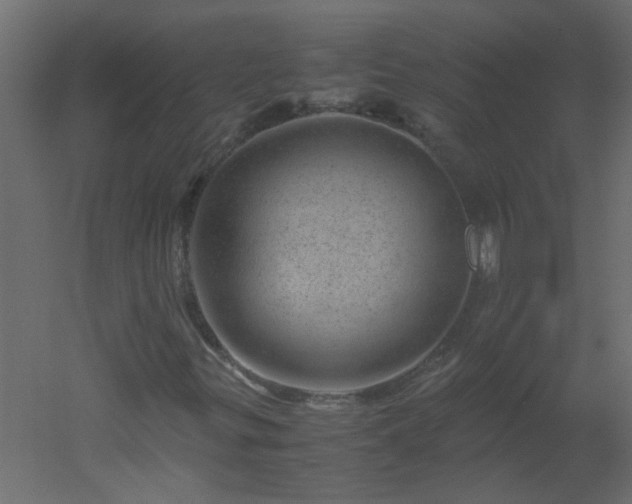 X0000051881299200506241403