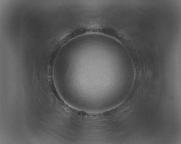 X0000051881301200506241403