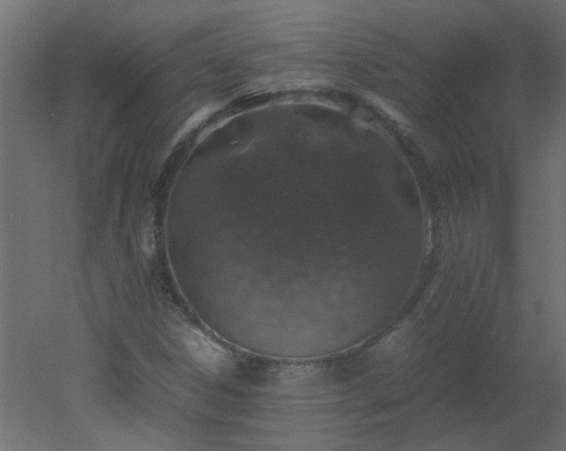 X0000051881306200506241403