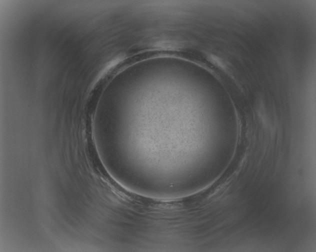 X0000051881307200506241403