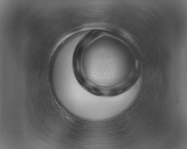 X0000051881312200506241403
