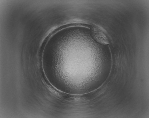 X0000051881318200506241403