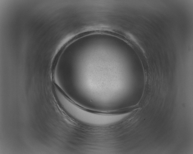 X0000051881320200506241403