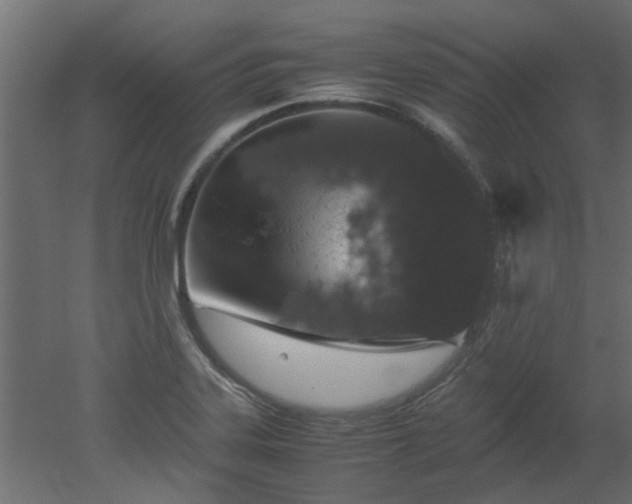 X0000051881323200506241403