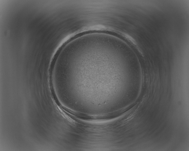 X0000051881326200506241403