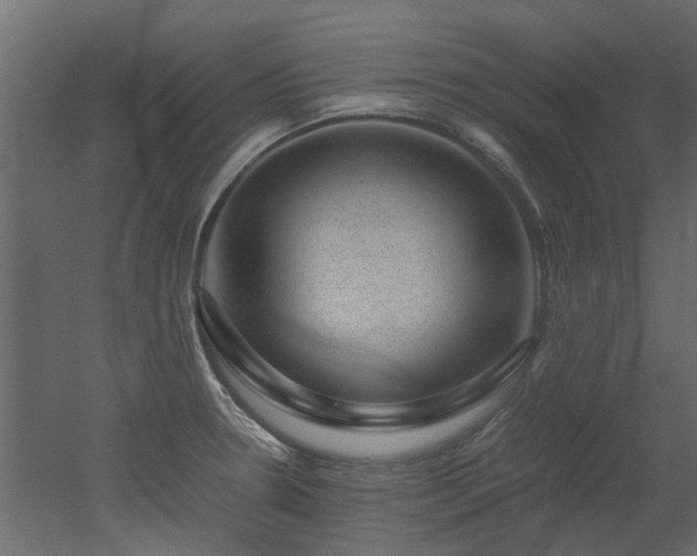 X0000051881330200506241403