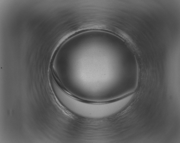 X0000051881332200506241403