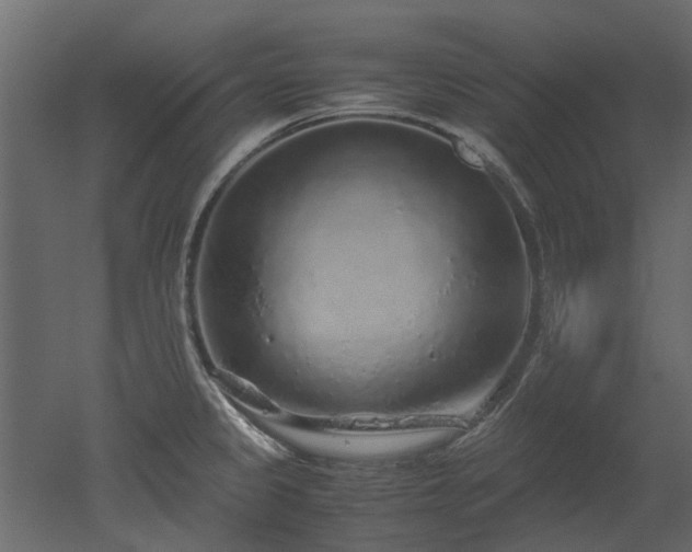 X0000051881333200506241403