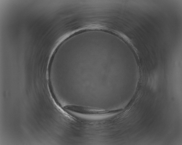 X0000051881335200506241403
