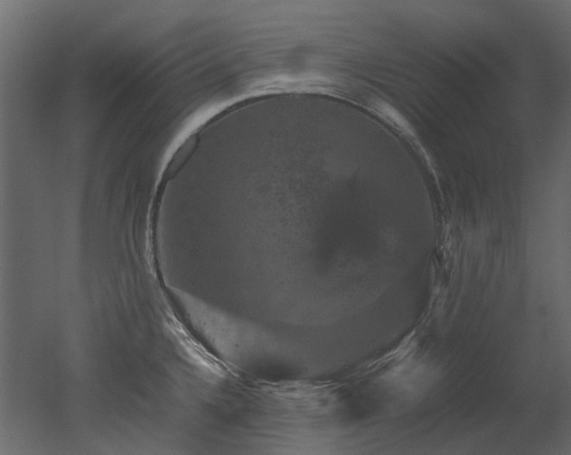 X0000051881336200506241403