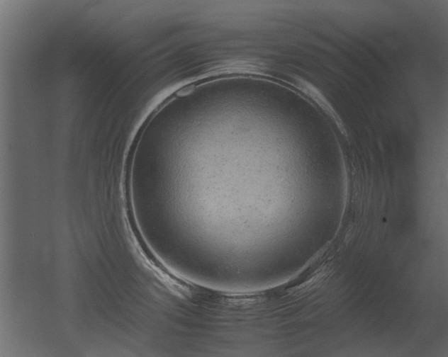 X0000051881339200506241403