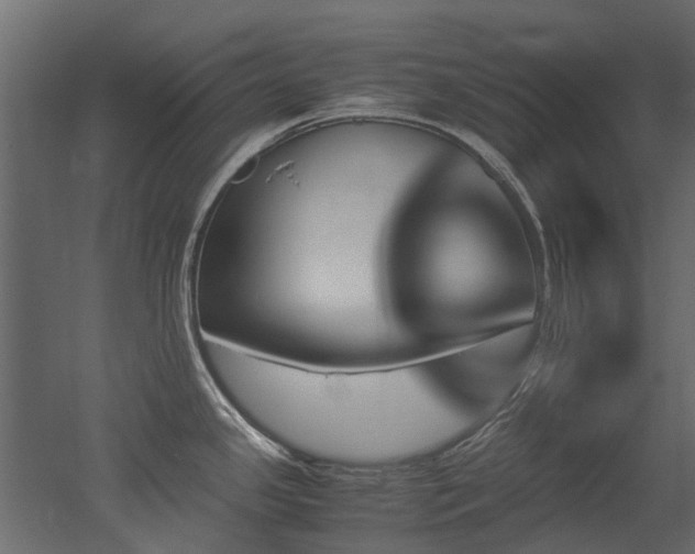 X0000051881341200506241403