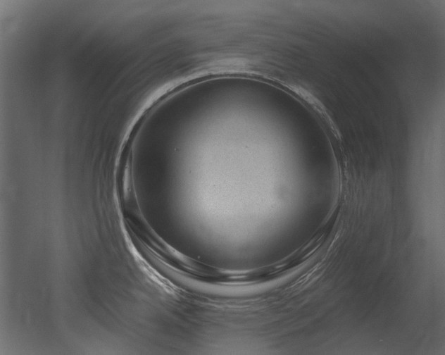X0000051881342200506241403