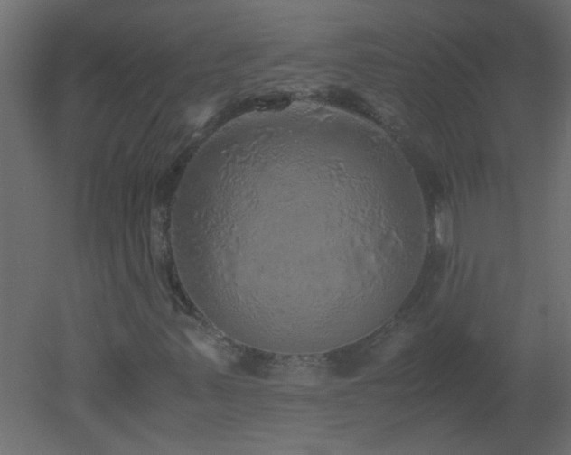 X0000051881347200506241403