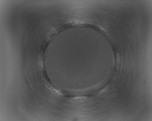 X0000051881348200506241403