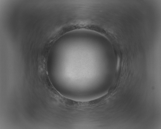 X0000051881349200506241403