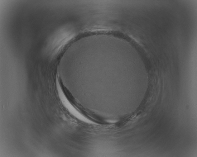 X0000051881351200506241402