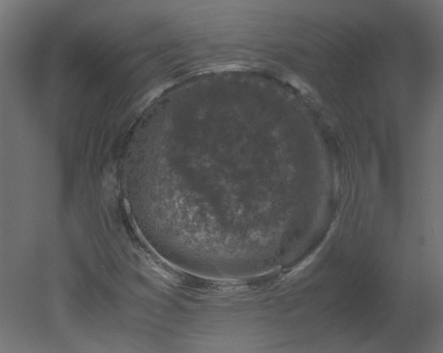 X0000051881353200506241402