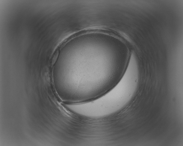 X0000051881356200506241402