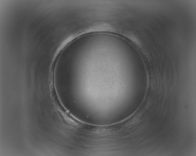 X0000051881366200506241402