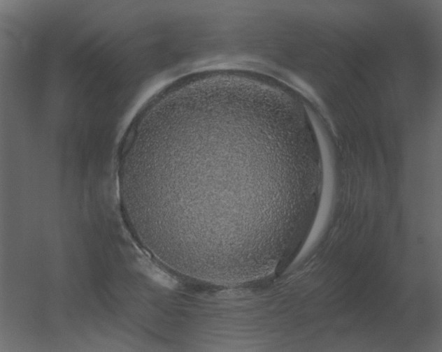 X0000051881368200506241402
