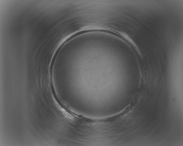 X0000051881380200506241402