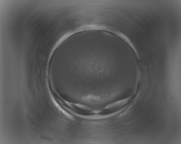 X0000051881381200506241402