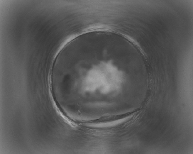 X0000051881383200506241402