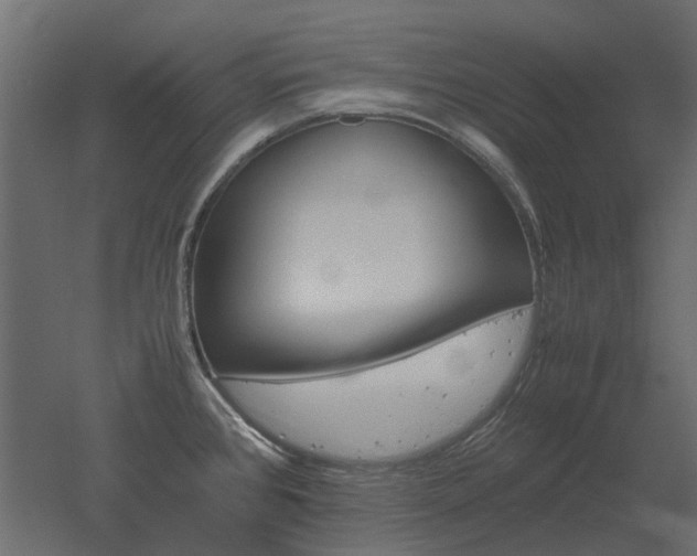 X0000051881384200506241402
