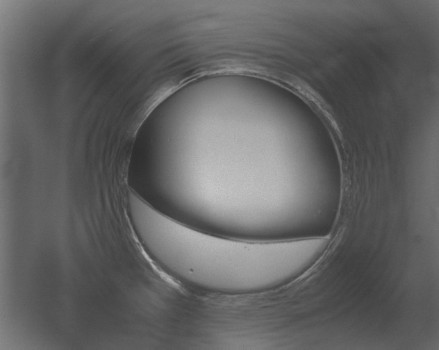 X0000051881385200506241402