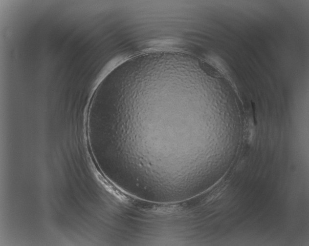 X0000051881386200506241402