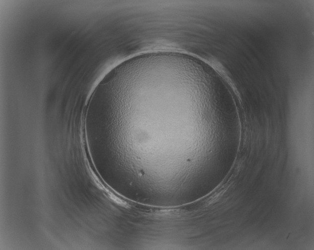 X0000051881390200506241402