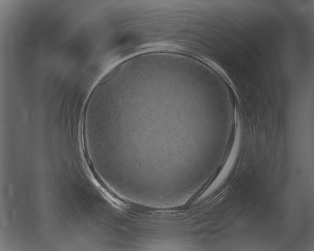 X0000051881391200506241402