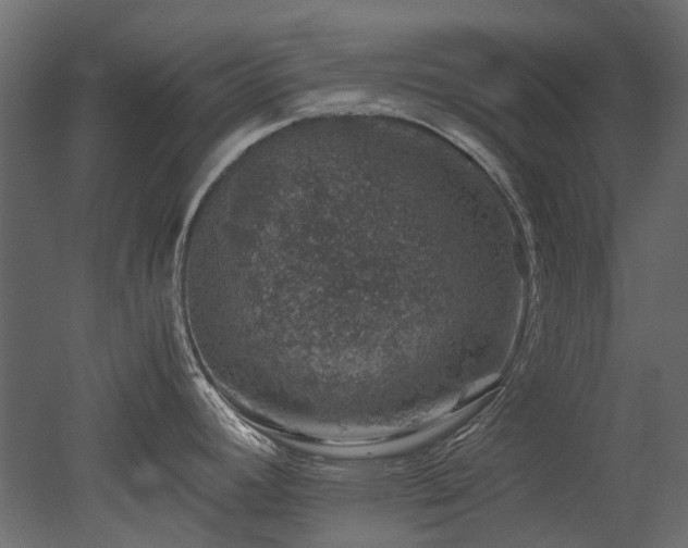 X0000051881392200506241402