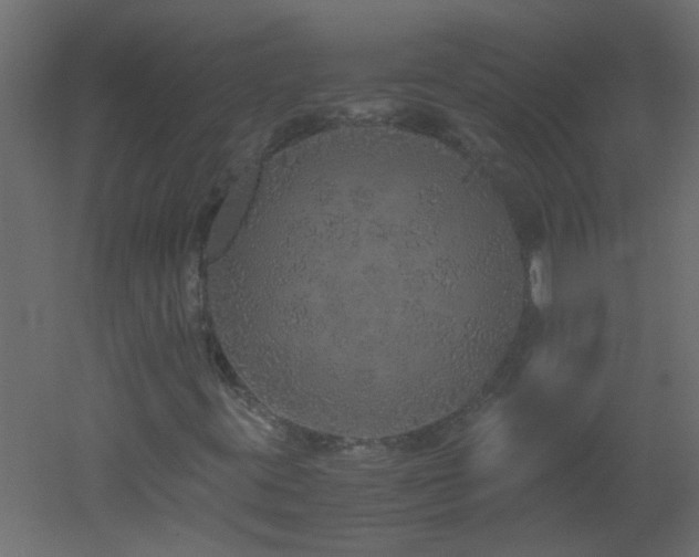 X0000051881395200506241401