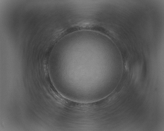 X0000051881396200506241401