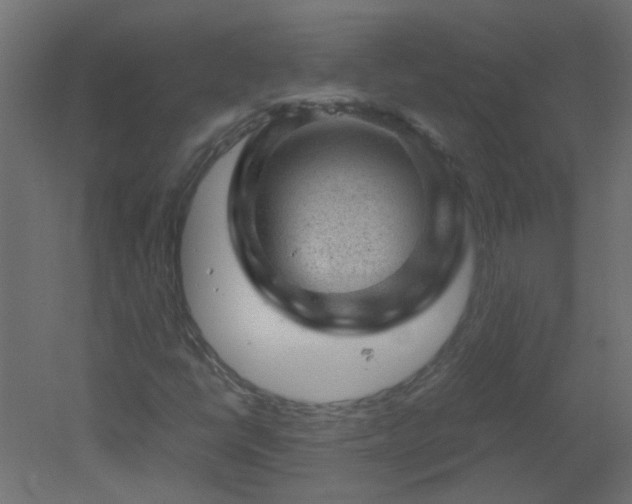 X0000051881398200506241401
