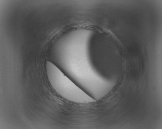X0000051881399200506241401