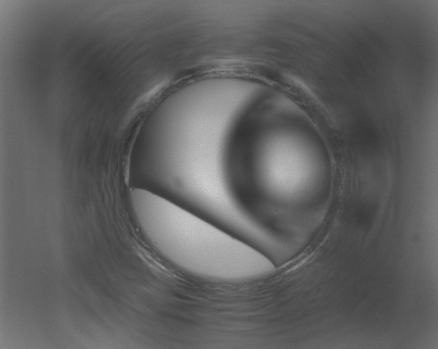 X0000051881403200506241401