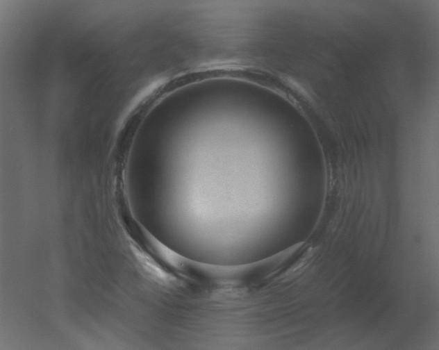X0000051881406200506241401
