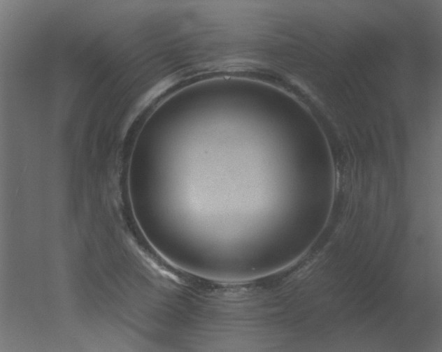 X0000051881410200506241401