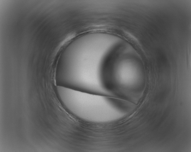 X0000051881411200506241401