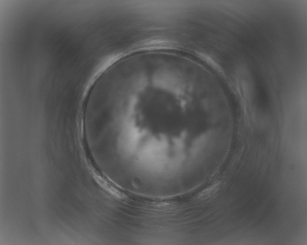 X0000051881413200506241401