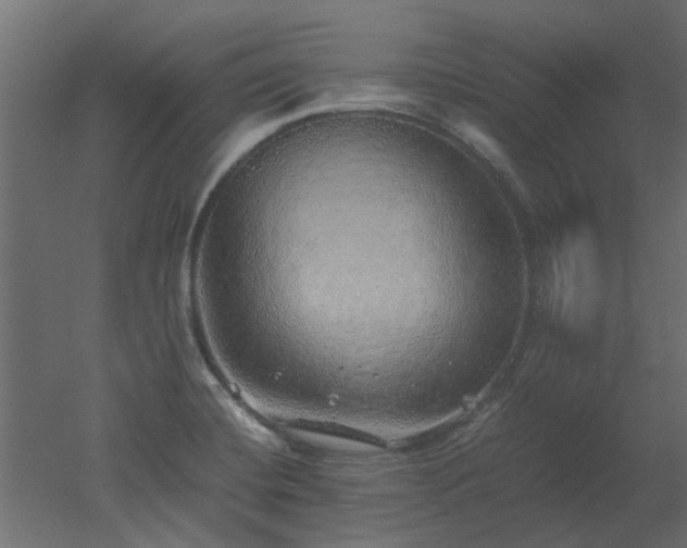 X0000051881420200506241401